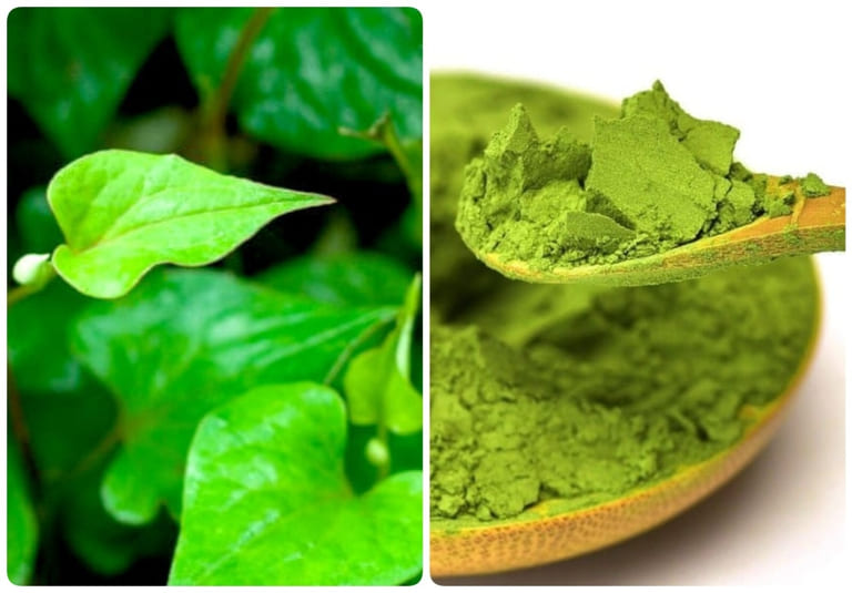 trị mụn bằng rau diếp cá