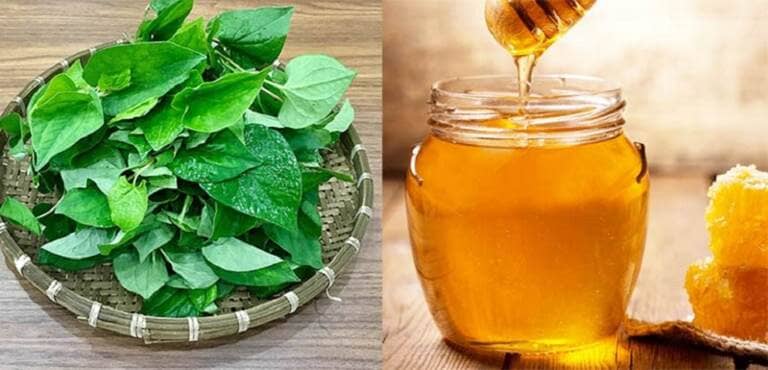 hướng dẫn trị mụn bằng rau diếp cá